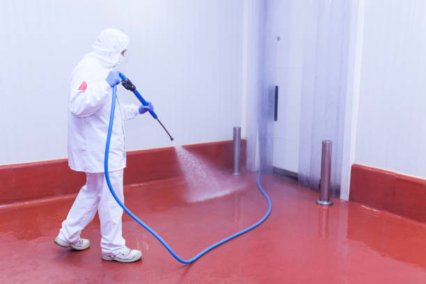 Professional  Pressure Washing Services in De Graff, OH